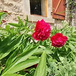 Confortable En Auvergne Proche De Randonnees - Fr-1-582-346 *