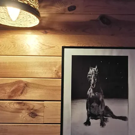 Дом отдыха Confortable En Auvergne Proche De Randonnees - Fr-1-582-346 Craponne-sur-Arzon