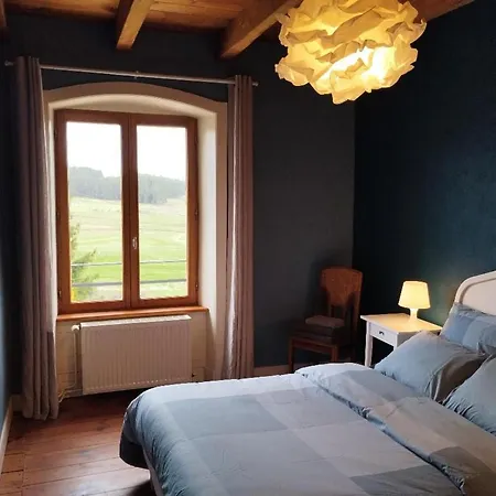 Confortable En Auvergne Proche De Randonnees - Fr-1-582-346 Craponne-sur-Arzon