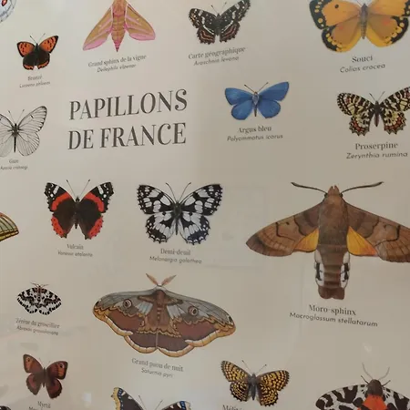 Confortable En Auvergne Proche De Randonnees - Fr-1-582-346 Dom wakacyjny *