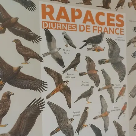 Confortable En Auvergne Proche De Randonnees - Fr-1-582-346 Дом отдыха