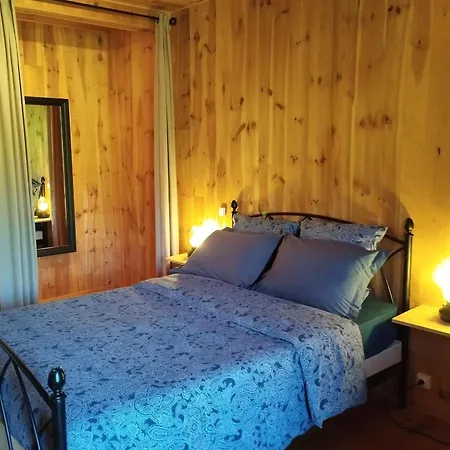 Confortable En Auvergne Proche De Randonnees - Fr-1-582-346 *