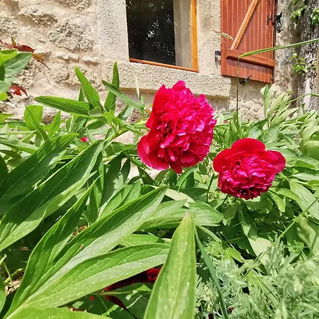 Σπίτι διακοπών Confortable En Auvergne Proche De Randonnees - Fr-1-582-346 *