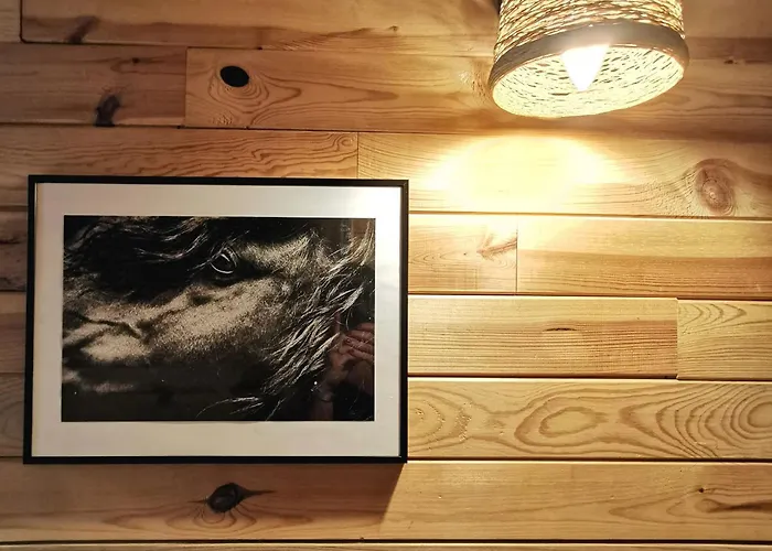 Confortable En Auvergne Proche De Randonnees - Fr-1-582-346 Craponne-sur-Arzon