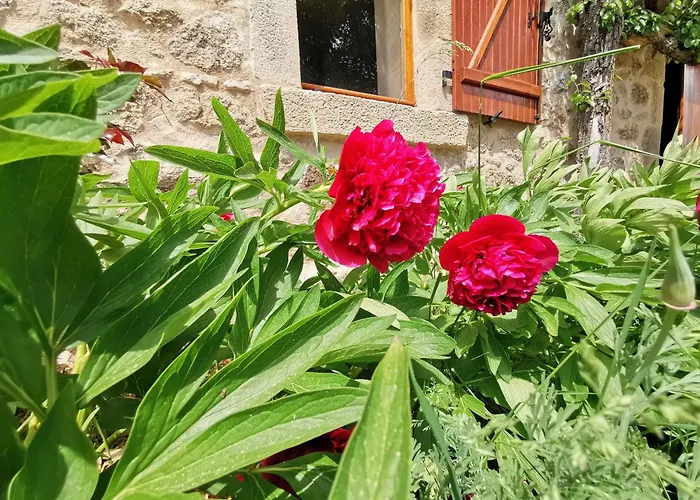 Confortable En Auvergne Proche De Randonnees - Fr-1-582-346 *