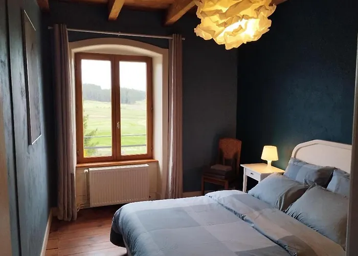 Confortable En Auvergne Proche De Randonnees - Fr-1-582-346 Craponne-sur-Arzon