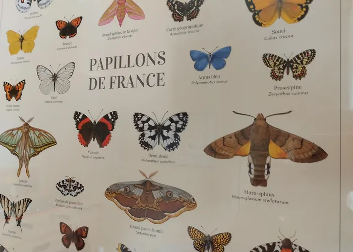 Confortable En Auvergne Proche De Randonnees - Fr-1-582-346 Holiday home *