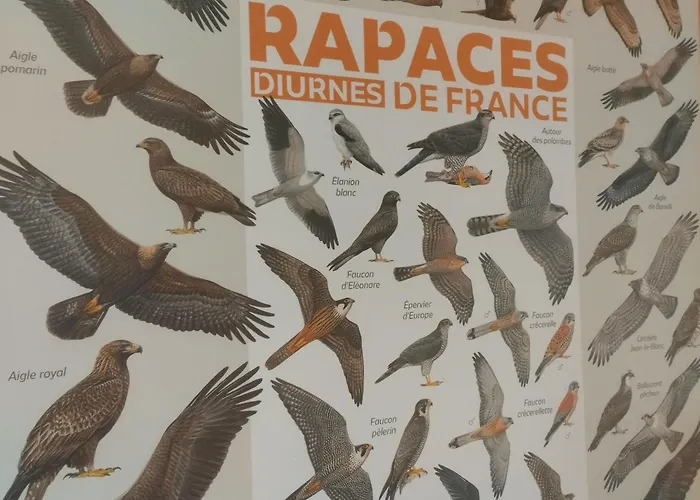 Confortable En Auvergne Proche De Randonnees - Fr-1-582-346 Holiday home