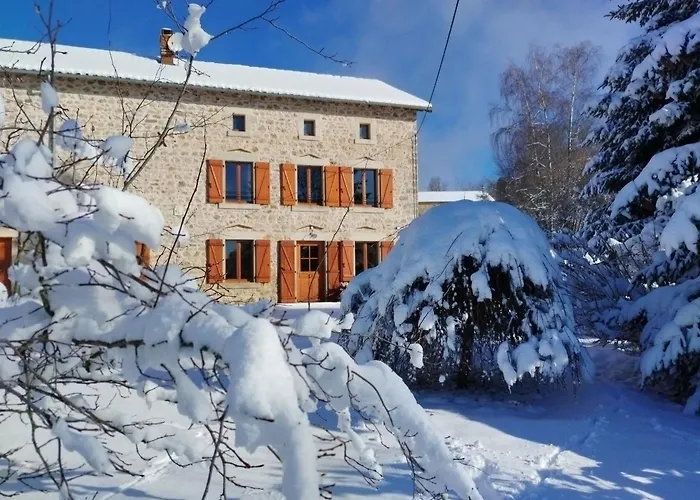 Holiday home Confortable En Auvergne Proche De Randonnees - Fr-1-582-346 Craponne-sur-Arzon